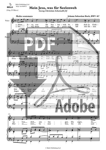 Bach, Johann Sebastian: Mein Jesu, was f&uuml;r Seelenweh, BWV 487
