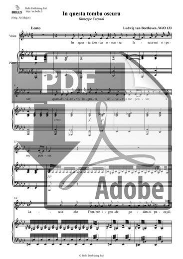 Beethoven, Ludwig van: In questa tomba oscura, WoO 133