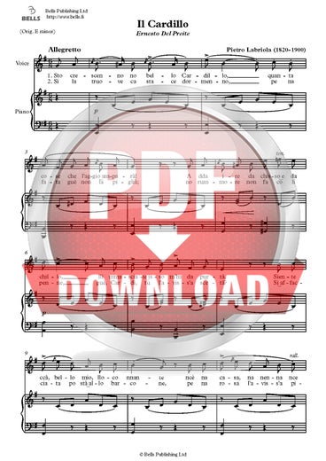 Labriola, Pietro: Il Cardillo